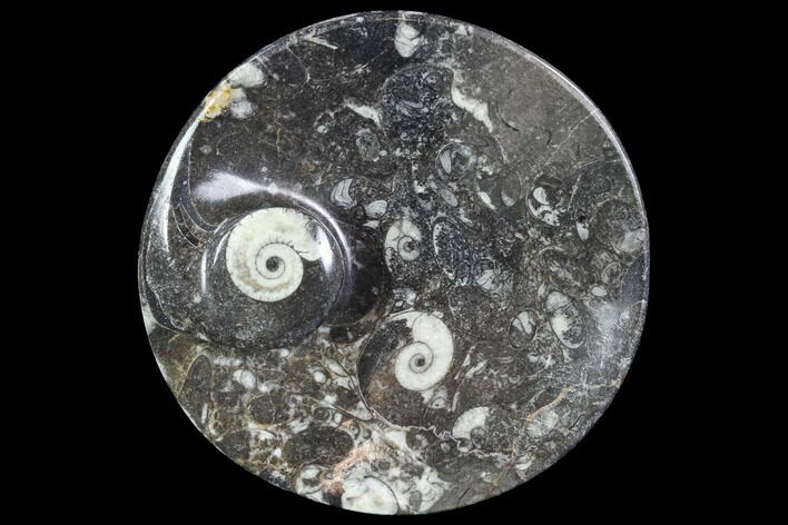 Round Fossil Goniatite Dish #91497
